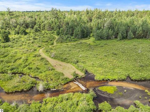 Tiny photo for 8264 SE Military Road, Fife Lake, MI 49633 (MLS # 1938029)