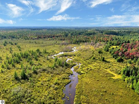 Photo of 8264 SE Military Road, Fife Lake, MI 49633 (MLS # 1938029)