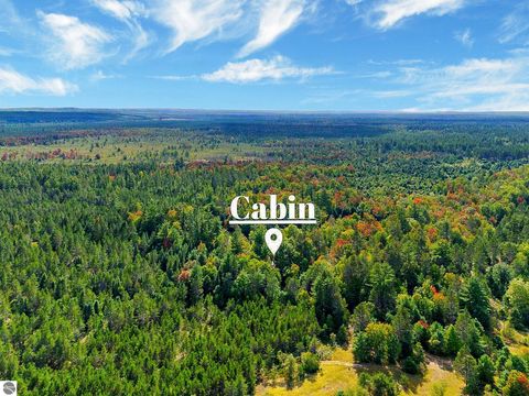 Tiny photo for 8264 SE Military Road, Fife Lake, MI 49633 (MLS # 1938029)