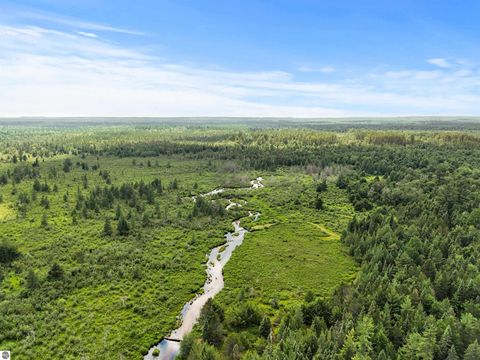 Tiny photo for 8264 SE Military Road, Fife Lake, MI 49633 (MLS # 1938029)