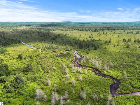 Tiny photo for 8264 SE Military Road, Fife Lake, MI 49633 (MLS # 1938029)
