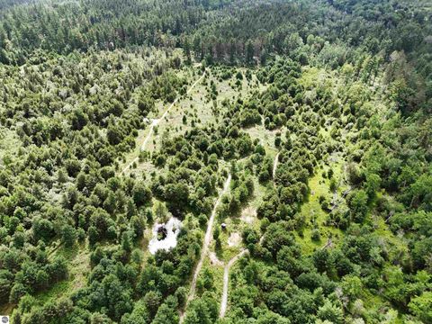 Tiny photo for 8264 SE Military Road, Fife Lake, MI 49633 (MLS # 1938029)