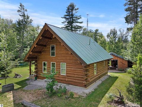 Tiny photo for 8264 SE Military Road, Fife Lake, MI 49633 (MLS # 1938029)