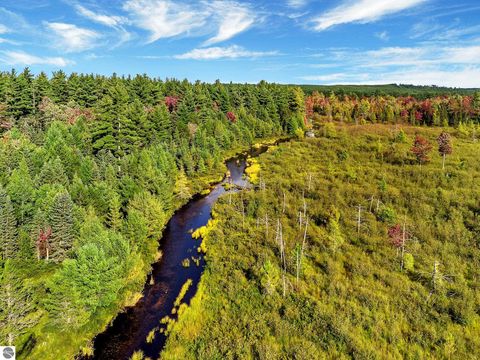 Tiny photo for 8264 SE Military Road, Fife Lake, MI 49633 (MLS # 1938029)