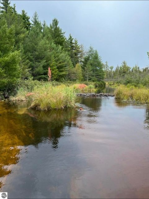 Tiny photo for 8264 SE Military Road, Fife Lake, MI 49633 (MLS # 1938029)
