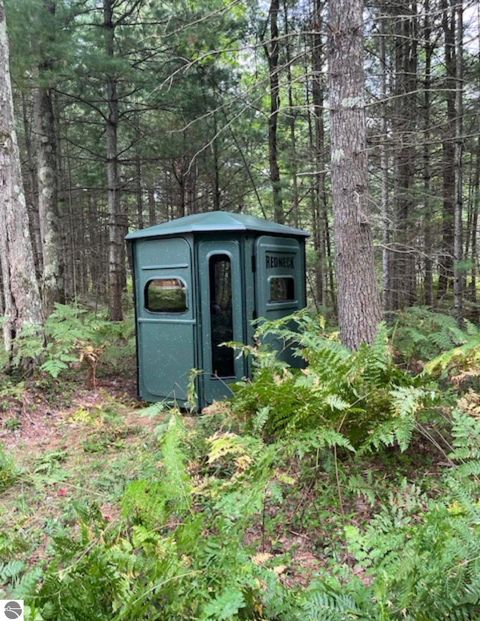 Tiny photo for 8264 SE Military Road, Fife Lake, MI 49633 (MLS # 1938029)