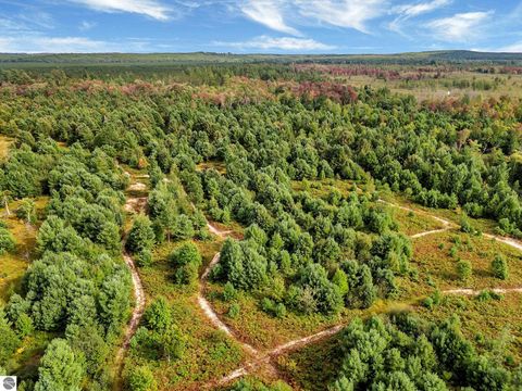Tiny photo for 8264 SE Military Road, Fife Lake, MI 49633 (MLS # 1938029)
