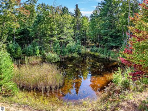 Tiny photo for 8264 SE Military Road, Fife Lake, MI 49633 (MLS # 1938029)