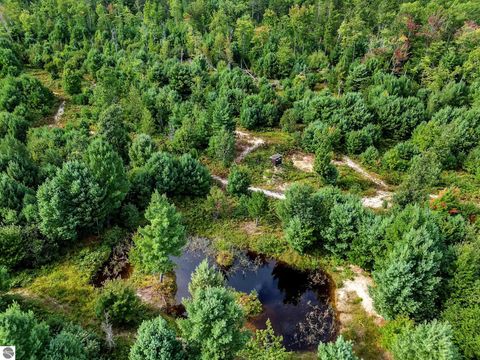 Tiny photo for 8264 SE Military Road, Fife Lake, MI 49633 (MLS # 1938029)