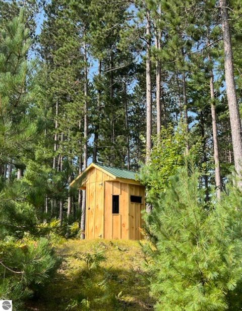 Tiny photo for 8264 SE Military Road, Fife Lake, MI 49633 (MLS # 1938029)