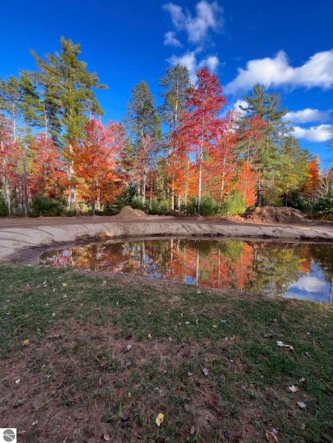 Tiny photo for 8264 SE Military Road, Fife Lake, MI 49633 (MLS # 1938029)