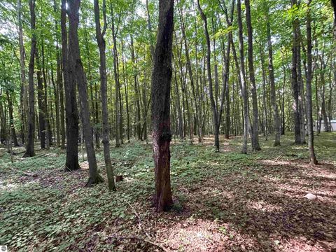 Tiny photo for 9149 N Twin Lake Road, Mancelona, MI 49659 (MLS # 1937400)