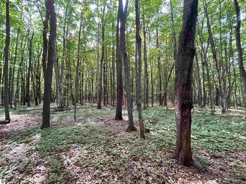 Tiny photo for 9149 N Twin Lake Road, Mancelona, MI 49659 (MLS # 1937400)