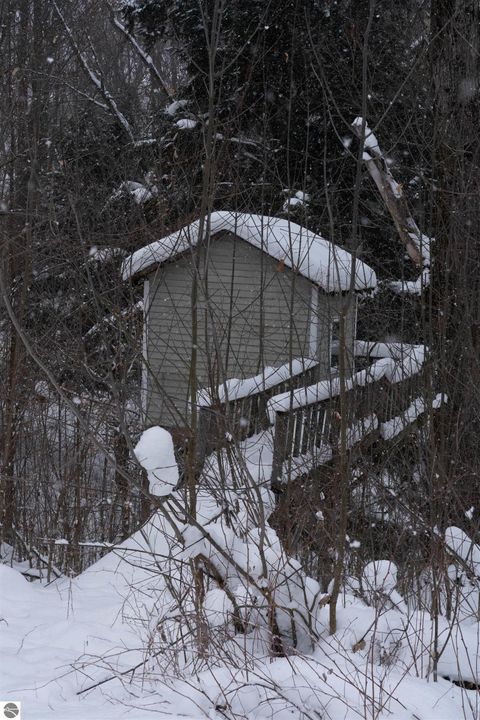 Tiny photo for 14809 23 Mile Road, Tustin, MI 49688 (MLS # 1941169)