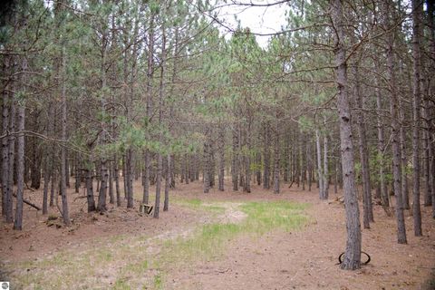 Tiny photo for 19801 Eagle Rise Road, Traverse City, MI 49686 (MLS # 1933701)