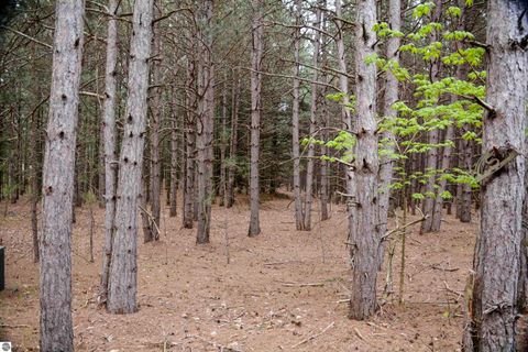 Tiny photo for 19801 Eagle Rise Road, Traverse City, MI 49686 (MLS # 1933701)