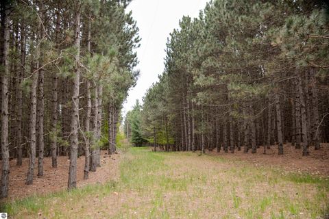 Tiny photo for 19801 Eagle Rise Road, Traverse City, MI 49686 (MLS # 1933701)