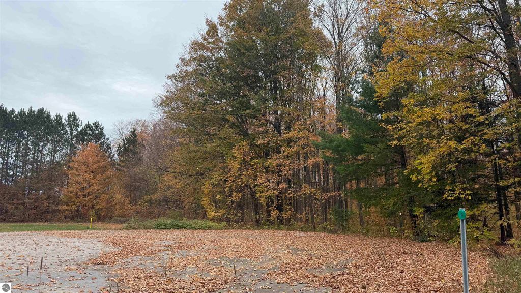 Photo of 130 Timber Lane, Buckley, MI 49620 (MLS # 1939169)