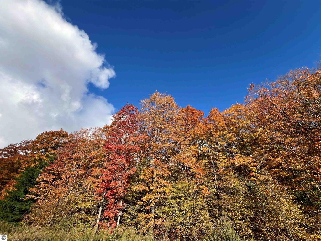 Photo of TBD Old Horton Bay Road, Boyne City, MI 49712 (MLS # 1939863)