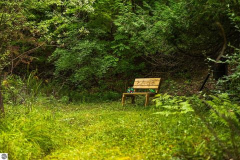 Tiny photo for 8975 S East Torch Lake Drive, Alden, MI 49612 (MLS # 1938328)