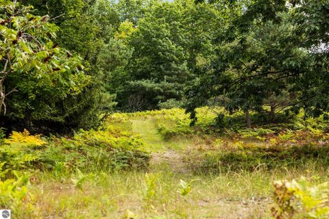 Tiny photo for 8975 S East Torch Lake Drive, Alden, MI 49612 (MLS # 1938328)