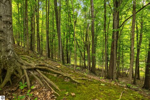 Tiny photo for 8975 S East Torch Lake Drive, Alden, MI 49612 (MLS # 1938328)