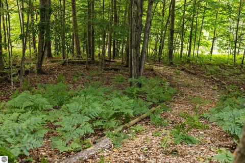 Tiny photo for 8975 S East Torch Lake Drive, Alden, MI 49612 (MLS # 1938328)