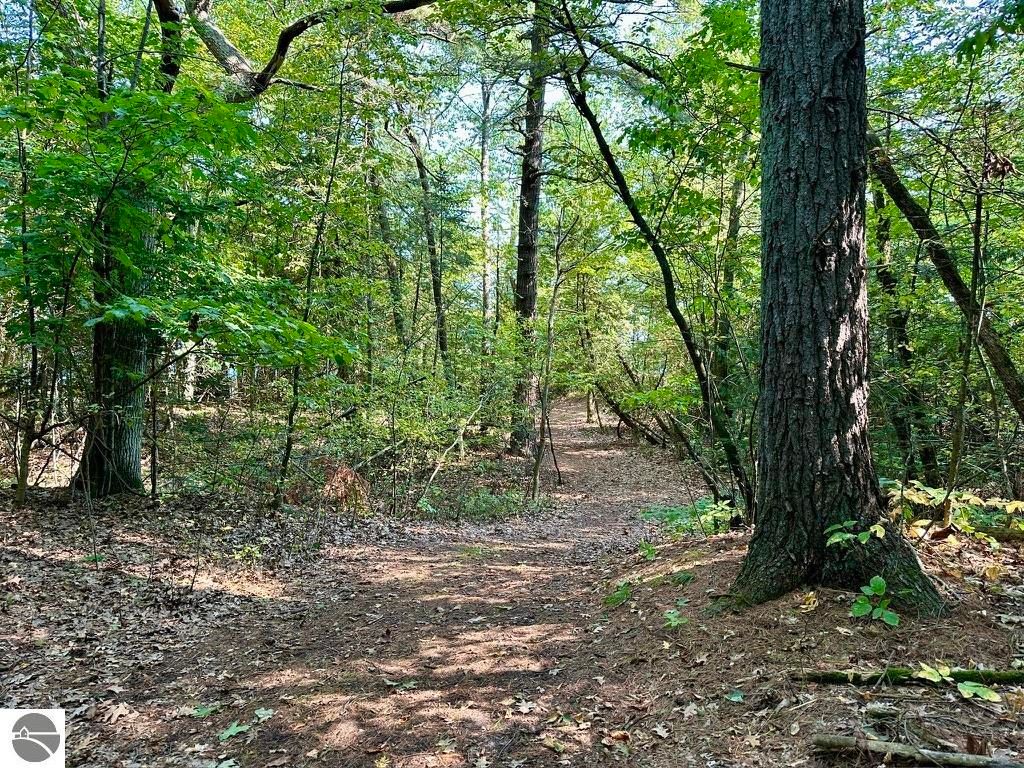 Photo of 23 Pine Cone Drive, Beaver Island, MI 49782 (MLS # 1930429)