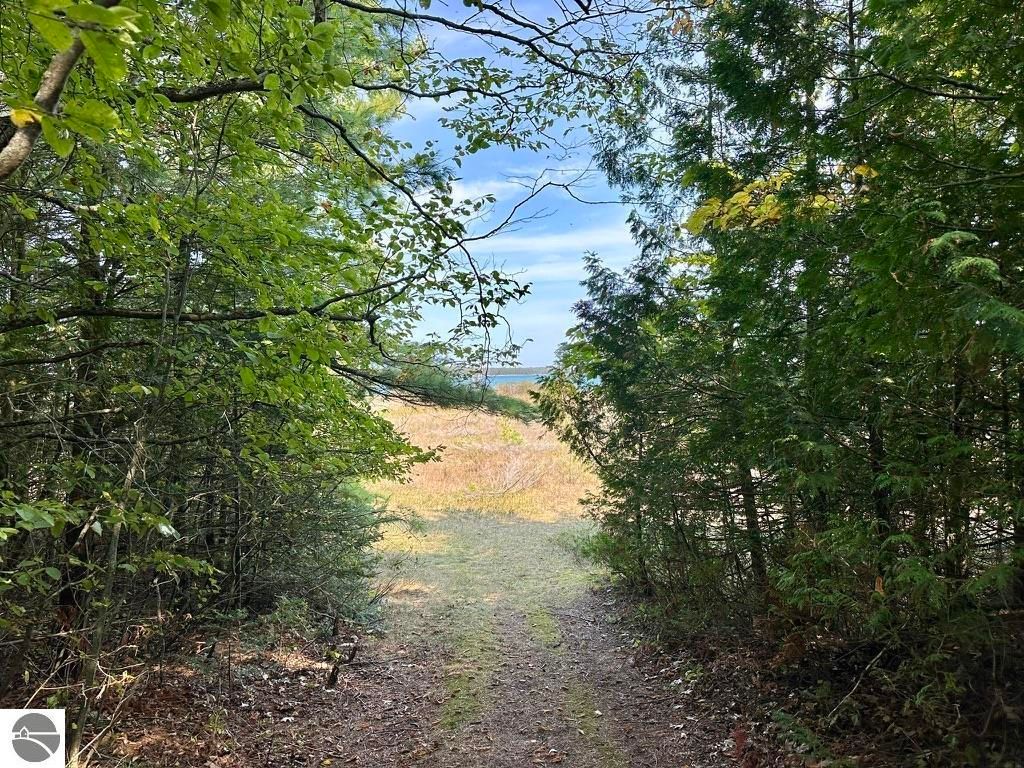 Photo of 23 Pine Cone Drive, Beaver Island, MI 49782 (MLS # 1930429)