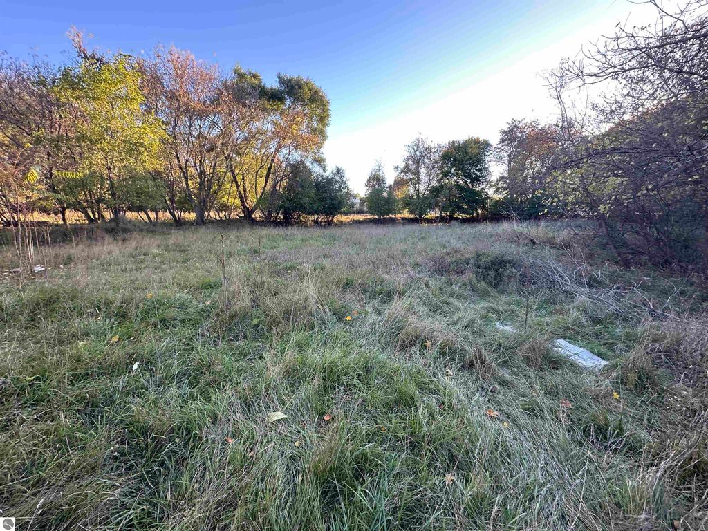 Photo of 2285 E Center Street, Alma, MI 48801 (MLS # 1939966)