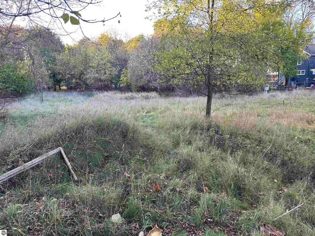 Photo of 2285 E Center Street, Alma, MI 48801 (MLS # 1939966)