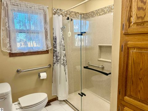 Tiny photo for 7873 S Rich Road, Middleton, MI 48856 (MLS # 1940205)