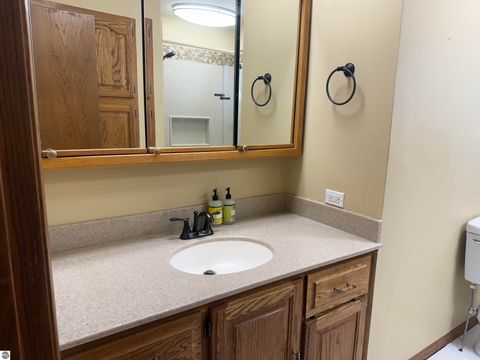 Tiny photo for 7873 S Rich Road, Middleton, MI 48856 (MLS # 1940205)