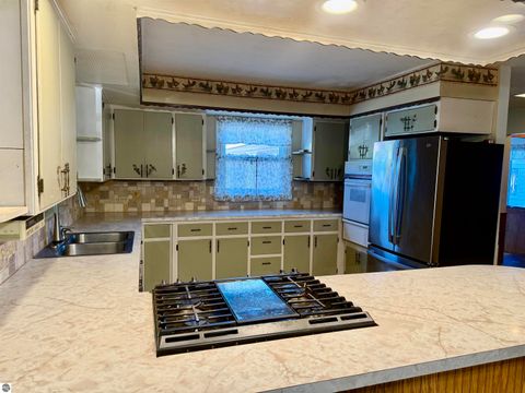 Tiny photo for 7873 S Rich Road, Middleton, MI 48856 (MLS # 1940205)