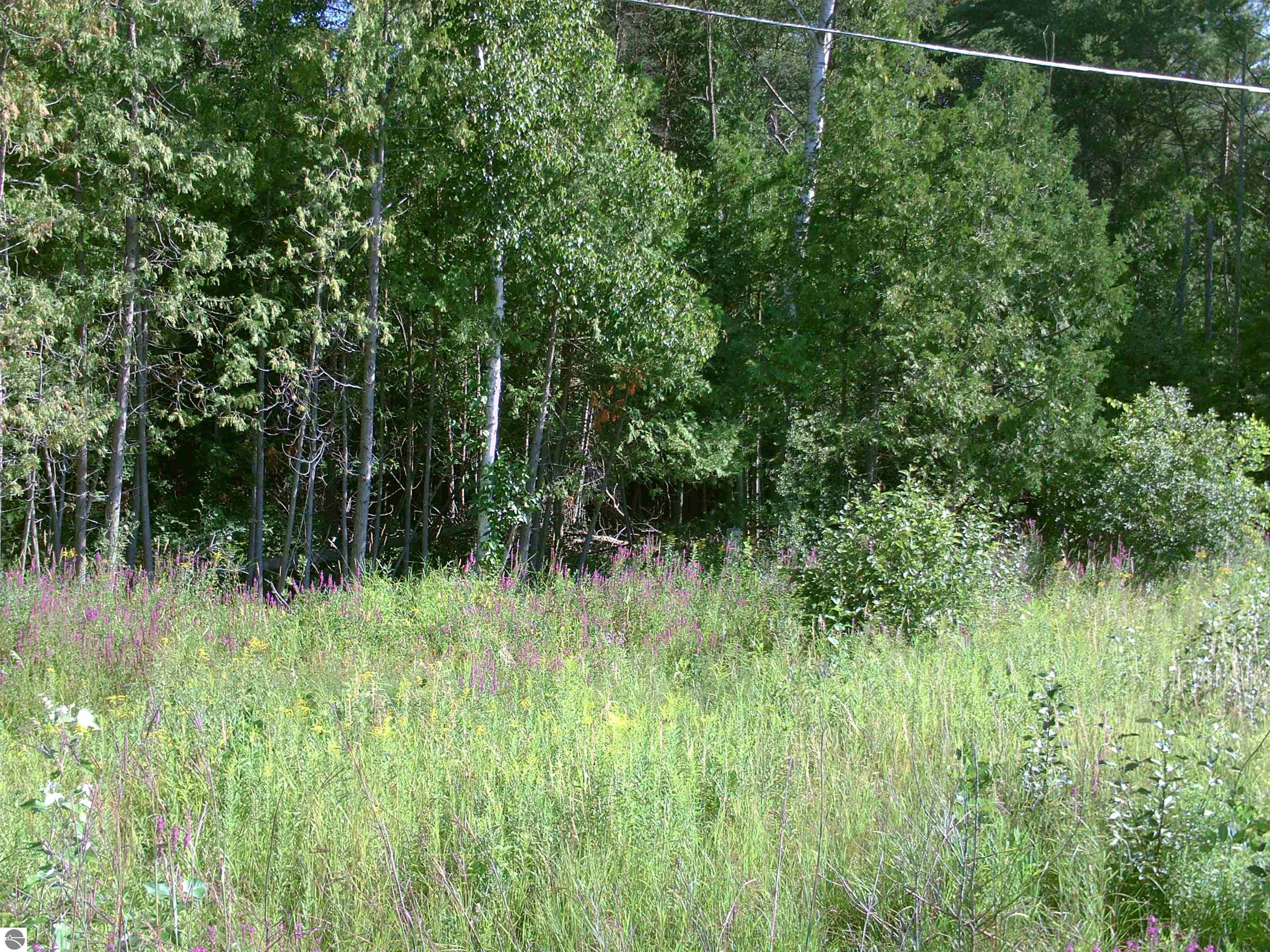 Photo 1 of 6 — 0 M-55, Tawas City, MI 48763