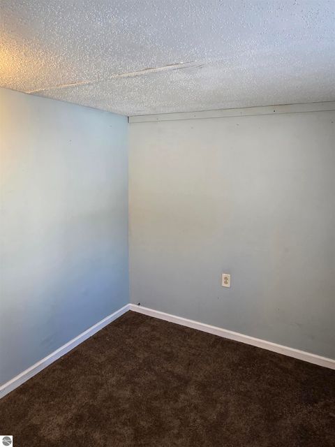 Tiny photo for 2695 Ovid Street, Crystal, MI 48818 (MLS # 1941159)