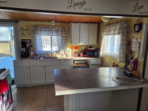 Tiny photo for 2695 Ovid Street, Crystal, MI 48818 (MLS # 1941159)