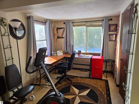 Tiny photo for 2695 Ovid Street, Crystal, MI 48818 (MLS # 1941159)