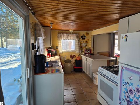 Tiny photo for 2695 Ovid Street, Crystal, MI 48818 (MLS # 1941159)