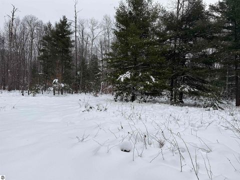 Tiny photo for 3745 Mason Road, Grawn, MI 49637 (MLS # 1940965)
