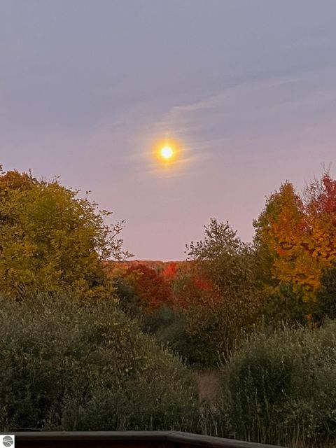 Tiny photo for 4838 Bartlett Road, Williamsburg, MI 49690 (MLS # 1939984)