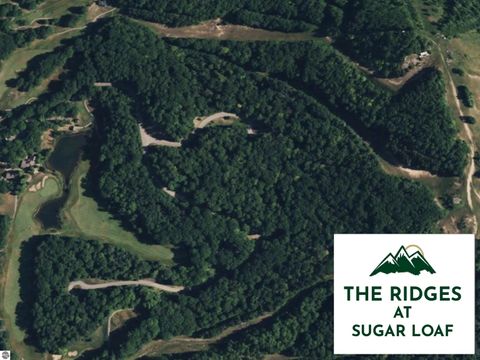 Tiny photo for 6 S Club Drive #6, Cedar, MI 49621 (MLS # 1940082)