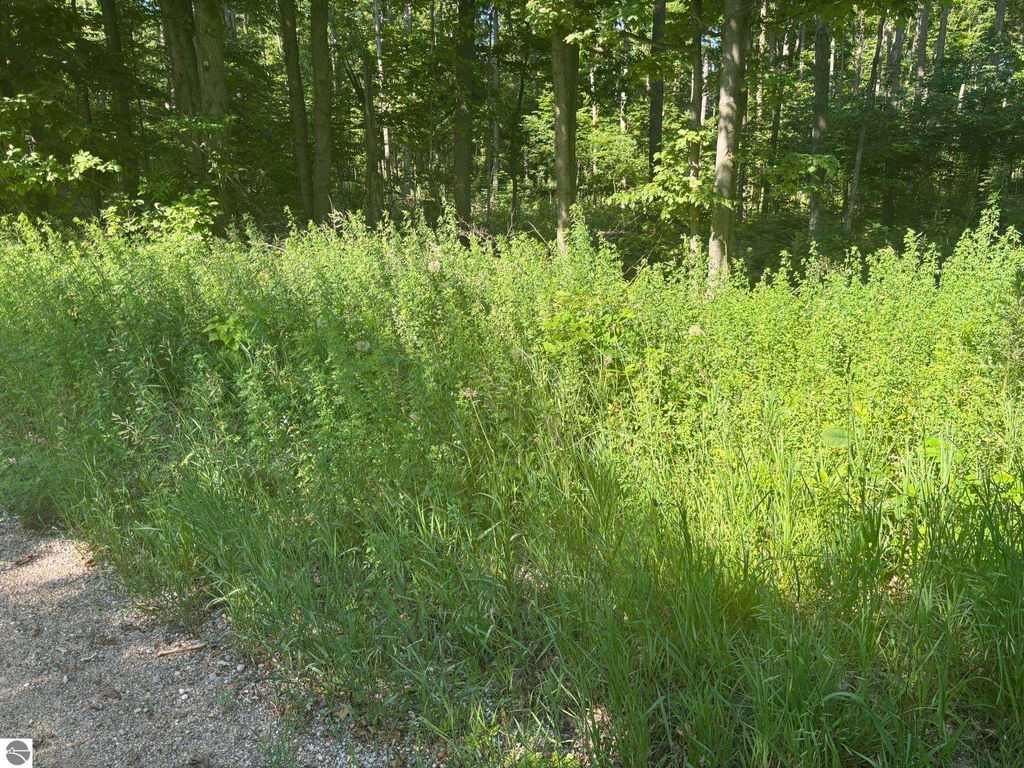 Photo of VL Forward, Lake City, MI 49651 (MLS # 1935901)