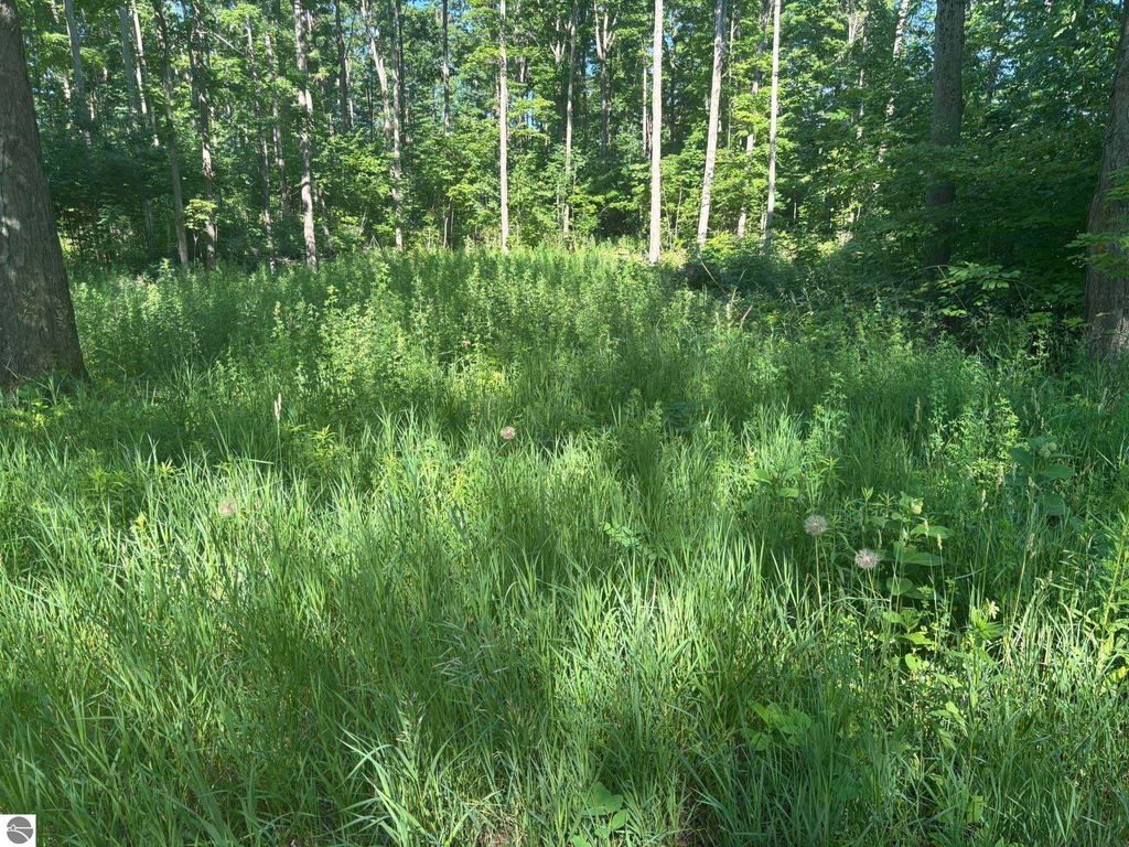 Photo of VL Forward, Lake City, MI 49651 (MLS # 1935901)