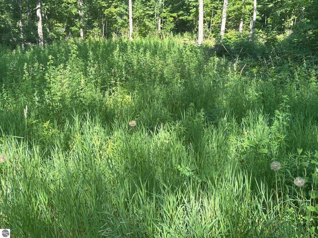 Photo of VL Forward, Lake City, MI 49651 (MLS # 1935901)
