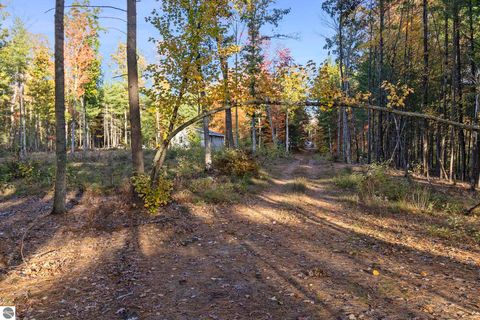 Tiny photo for 6483 S Emma Avenue, Baldwin, MI 49304 (MLS # 1939710)