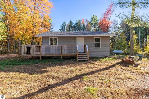 Tiny photo for 6483 S Emma Avenue, Baldwin, MI 49304 (MLS # 1939710)