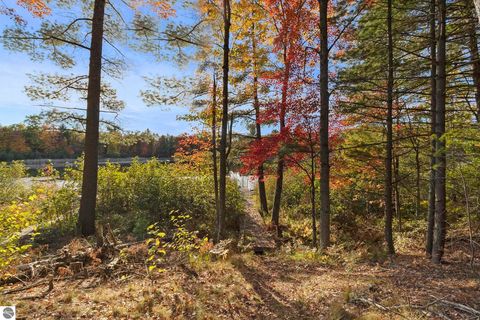 Tiny photo for 6483 S Emma Avenue, Baldwin, MI 49304 (MLS # 1939710)