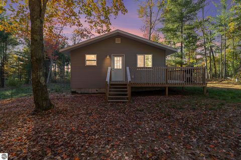 Tiny photo for 6483 S Emma Avenue, Baldwin, MI 49304 (MLS # 1939710)