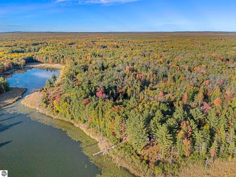 Tiny photo for 6483 S Emma Avenue, Baldwin, MI 49304 (MLS # 1939710)